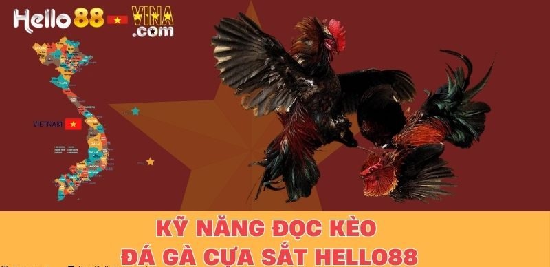 Kỹ Năng Đọc Kèo Đá Gà Cựa Sắt Hello88