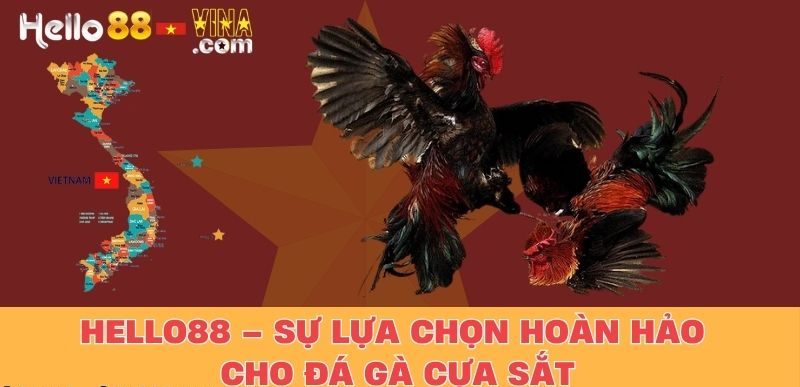 Hello88 – Sự Lựa Chọn Hoàn Hảo Cho Đá Gà Cựa Sắt