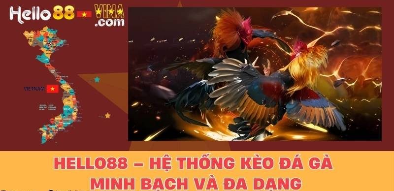 Hello88 – Hệ Thống Kèo Đá Gà Minh Bạch Và Đa Dạng