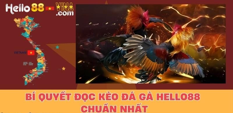 Bí Quyết Đọc Kèo Đá Gà Hello88 Chuẩn Nhất