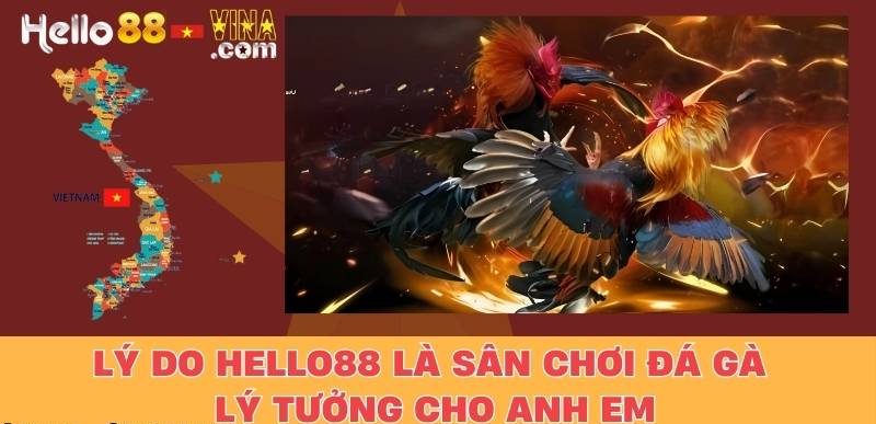 Lý Do Hello88 Là Sân Chơi Đá Gà Lý Tưởng Cho Anh Em